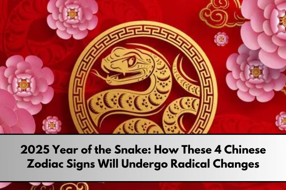 2025 Year of the Snake