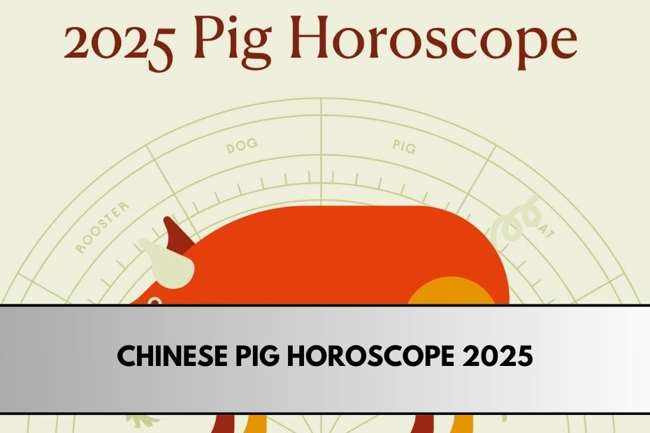 Chinese Pig Horoscope 2025