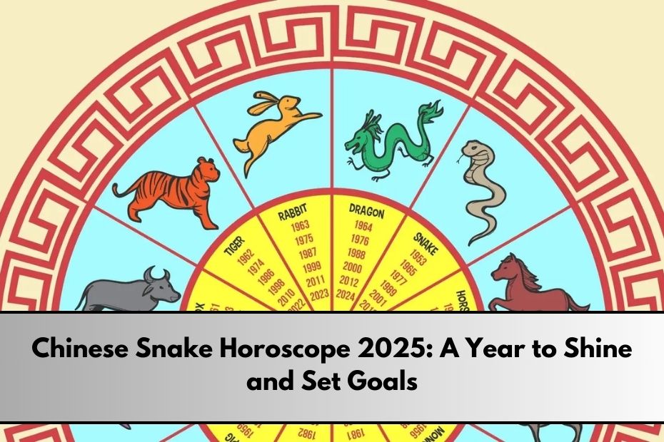 Chinese Snake Horoscope 2025