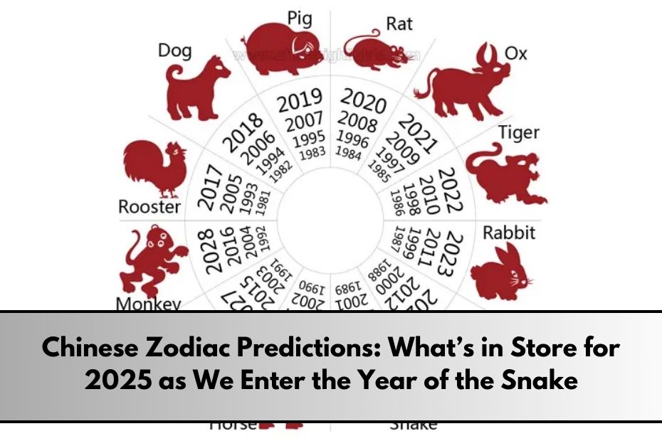 Chinese Zodiac Predictions