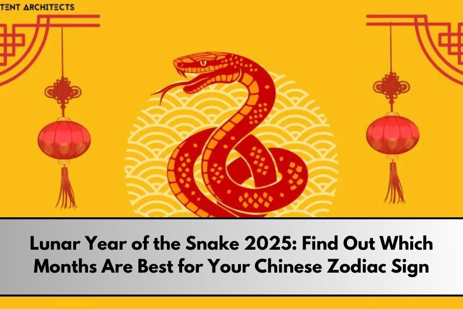 Lunar Year of the Snake 2025