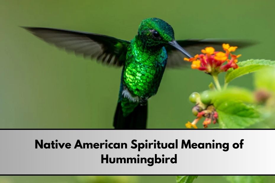 Native American Spiritual Meaning of Hummingbird