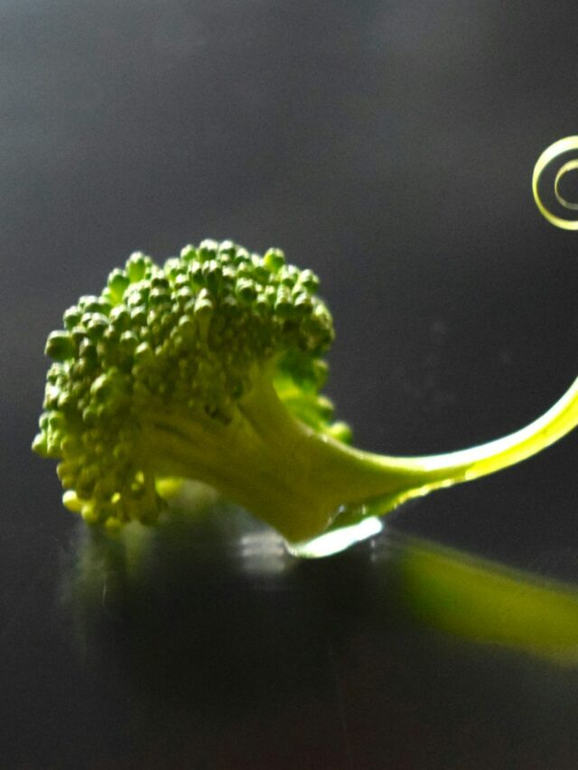 A piece of broccoli sitting on top of a table