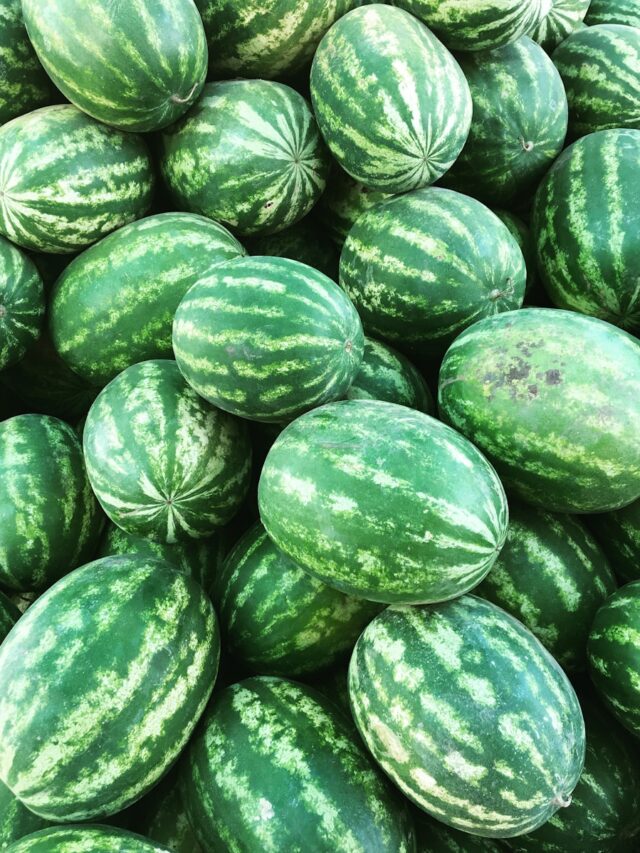 green watermelon fruit on white table