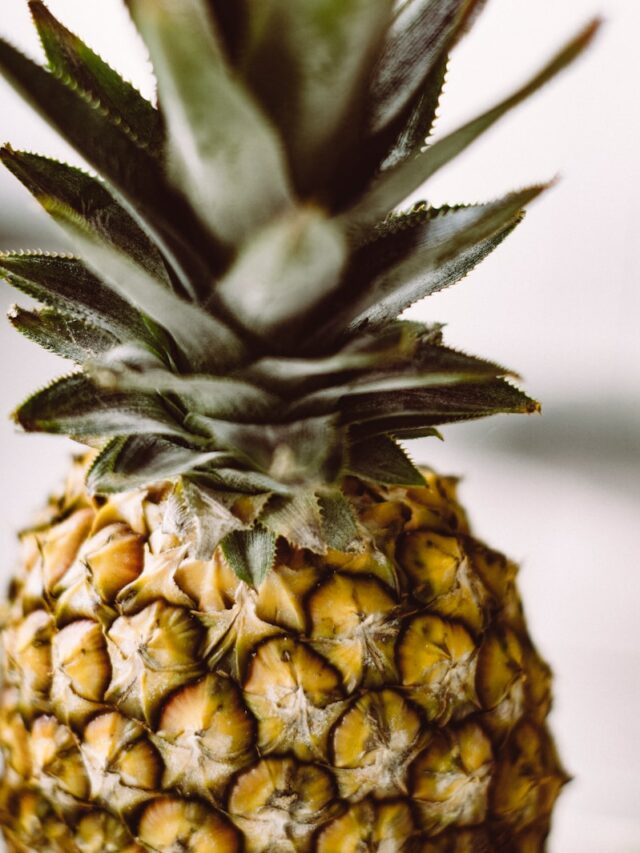 shallow focus photography of pineapple