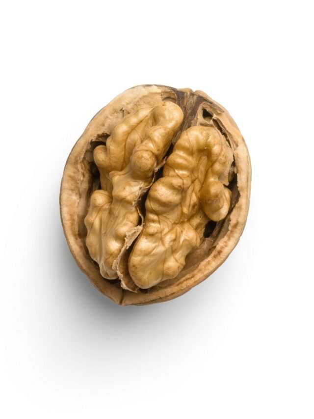 a whole walnut on a white background