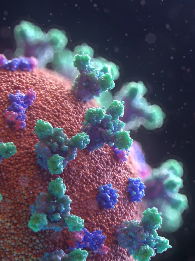 Visualization of the Coronavirus