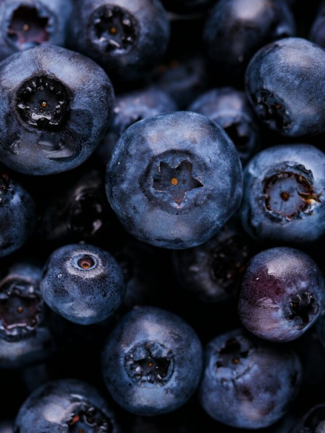 blueberry fruits