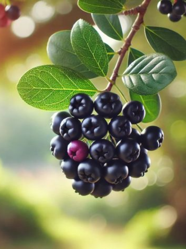 12 Native Berries That Combine Great Taste With Easy Growing