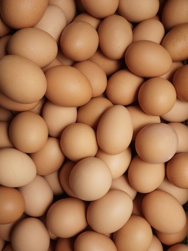 a pile of eggs sitting next to each other