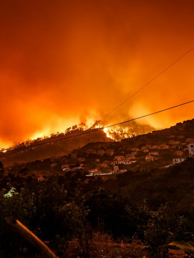 burning building at nighttime