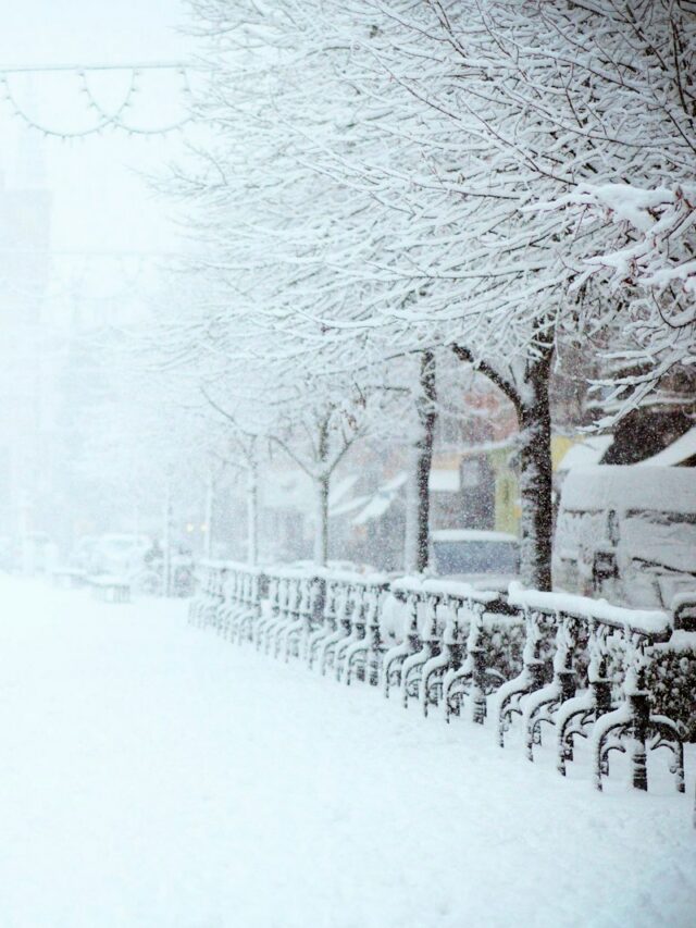 road covered by snow near vehicle traveling at daytime