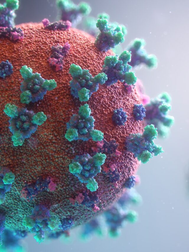 Visualization of the coronavirus causing COVID-19