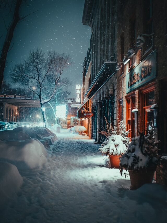 snow covered plant and road in front of cafe