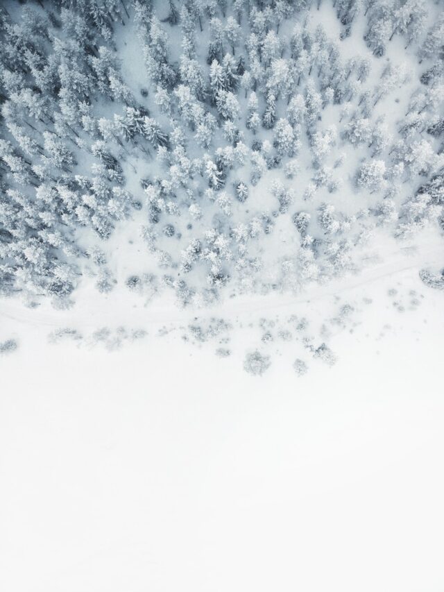 aerial photo of snow covered tree lot