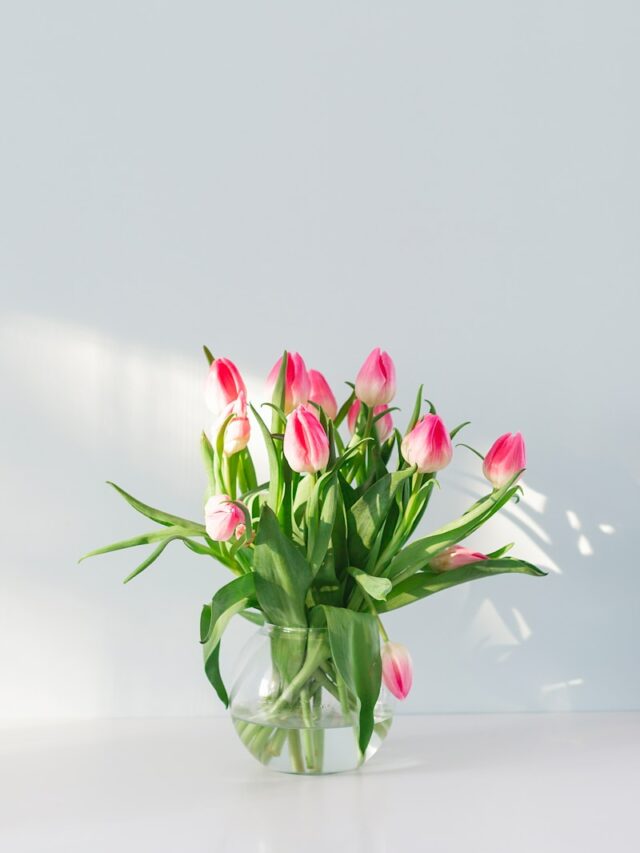 pink flowers in vase