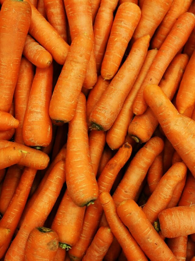 a pile of carrots