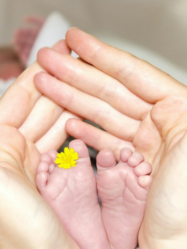 person holding baby's toe with yellow petaled flower in between