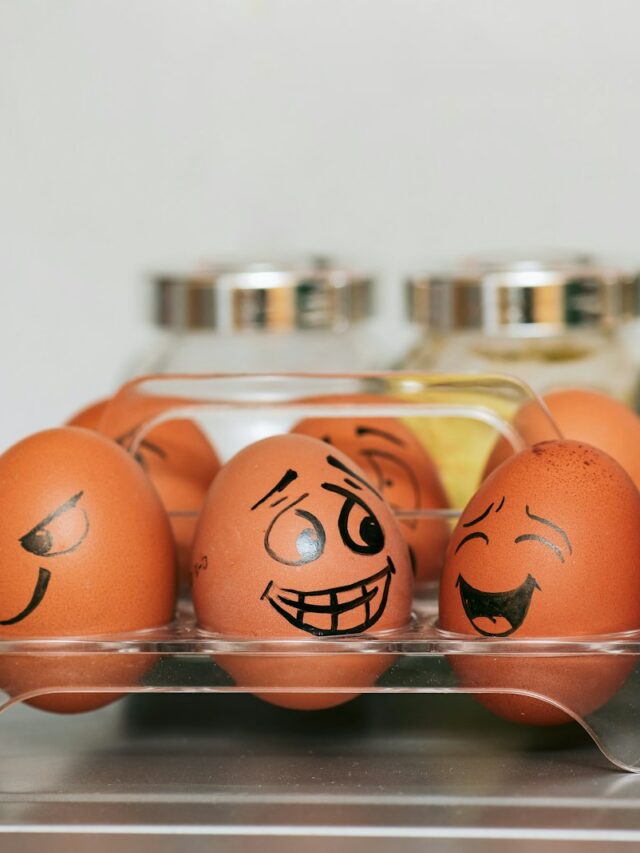 orange and white egg on stainless steel rack