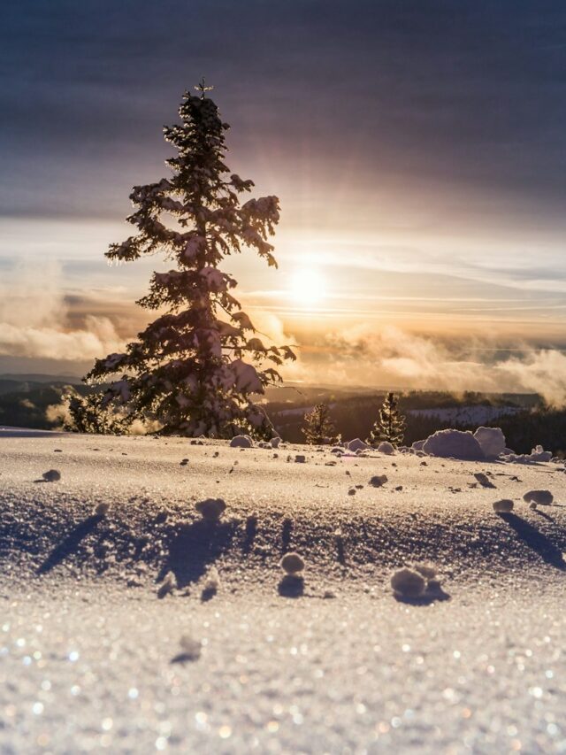 low angle photo of snow field