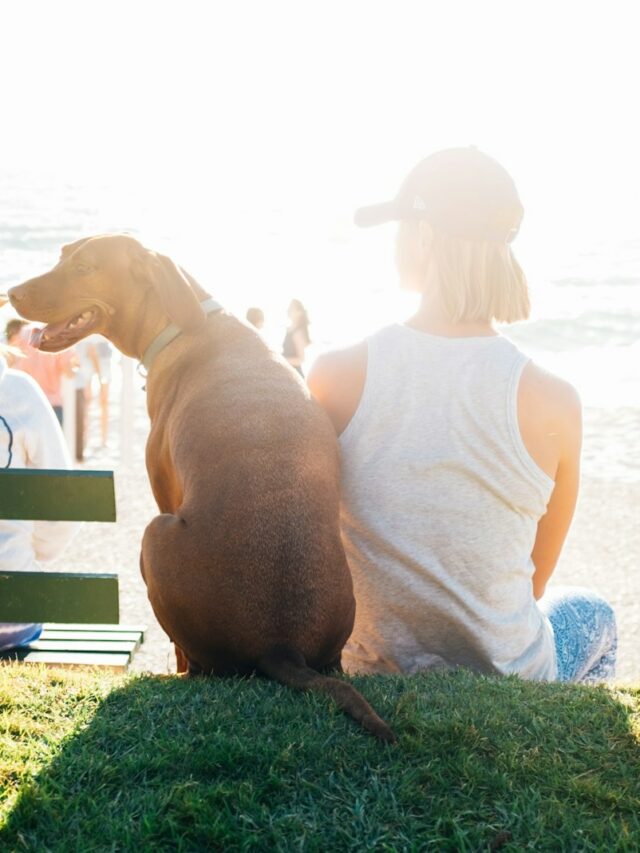 short-coated brown dog sit beside person wearing white tank top near beach during daytime