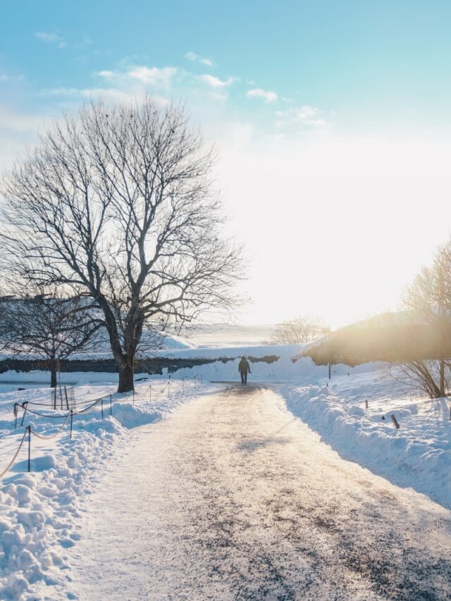 person walking on a snowy path during day time