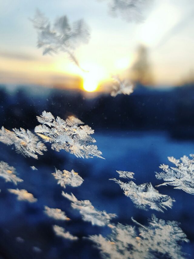 closeup photo of snowflakes